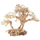 ZooMed Dragon Bonsai Tree, Medium