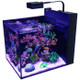 DISCONTINUED - Red Sea Max Nano ReefLED Peninsula Complete System - White