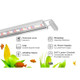 Finnex Stingray 3.0 24" Aquarium LED Light - 16W