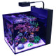 Red Sea Max Nano Peninsula G2 Aquarium with ReefLED - Inc White Cabinet