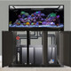 IM EXT 170 Gallon Complete Reef System – Black