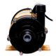 Blueline 100 HD Water Pump - 1990 gph