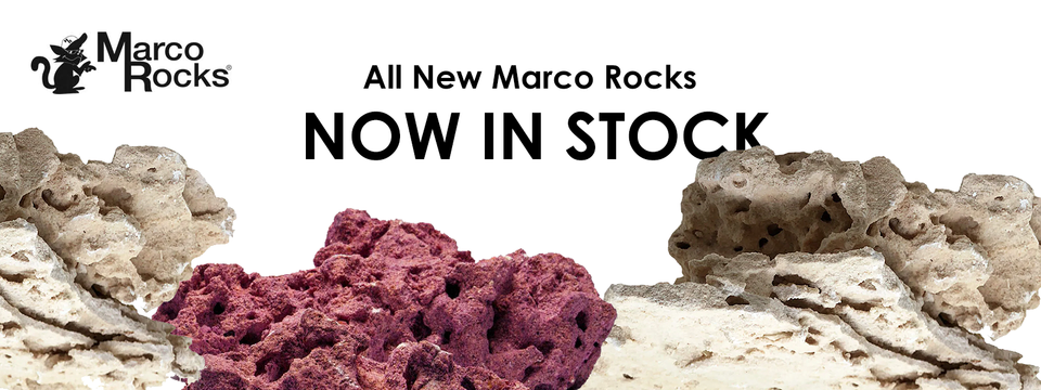 Aquarium Supplies | Freshwater & Saltwater Fish Tanks | AquaCave