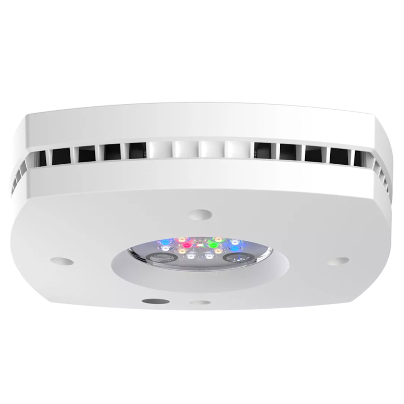 AI Prime 16 HD Freshwater LED Module - White - AquaIllumination