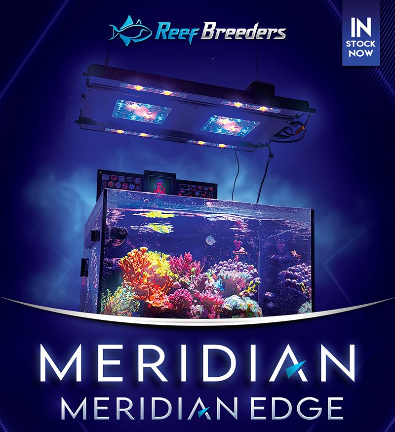 ReefBreeders Meridian