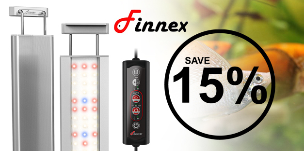 finnex-15.jpg