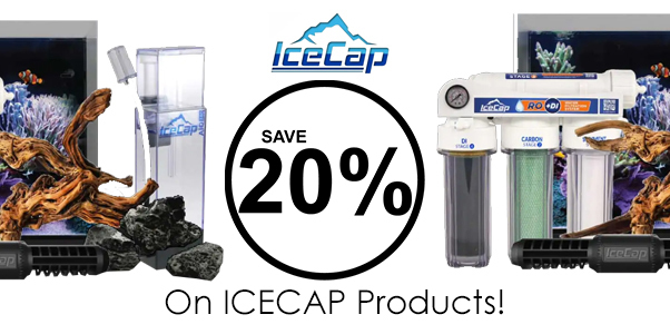 icecap-20.jpg