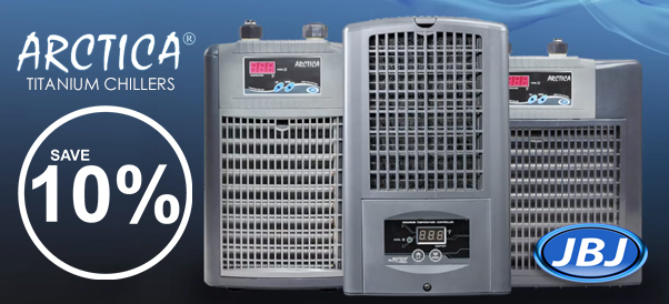 jbj-chillers-10.jpg