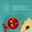 Everydrop® Ice Maker Water Filter F2WC9I1