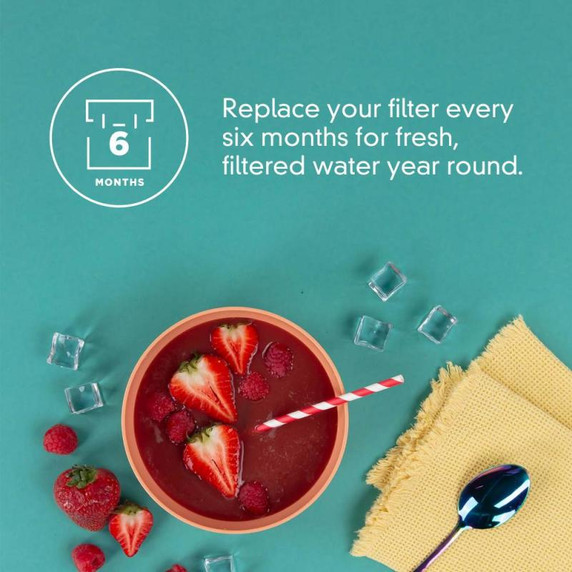 Everydrop® Ice Maker Water Filter F2WC9I1