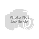 RS9000XL Suspension Strut RANCHO RS999845