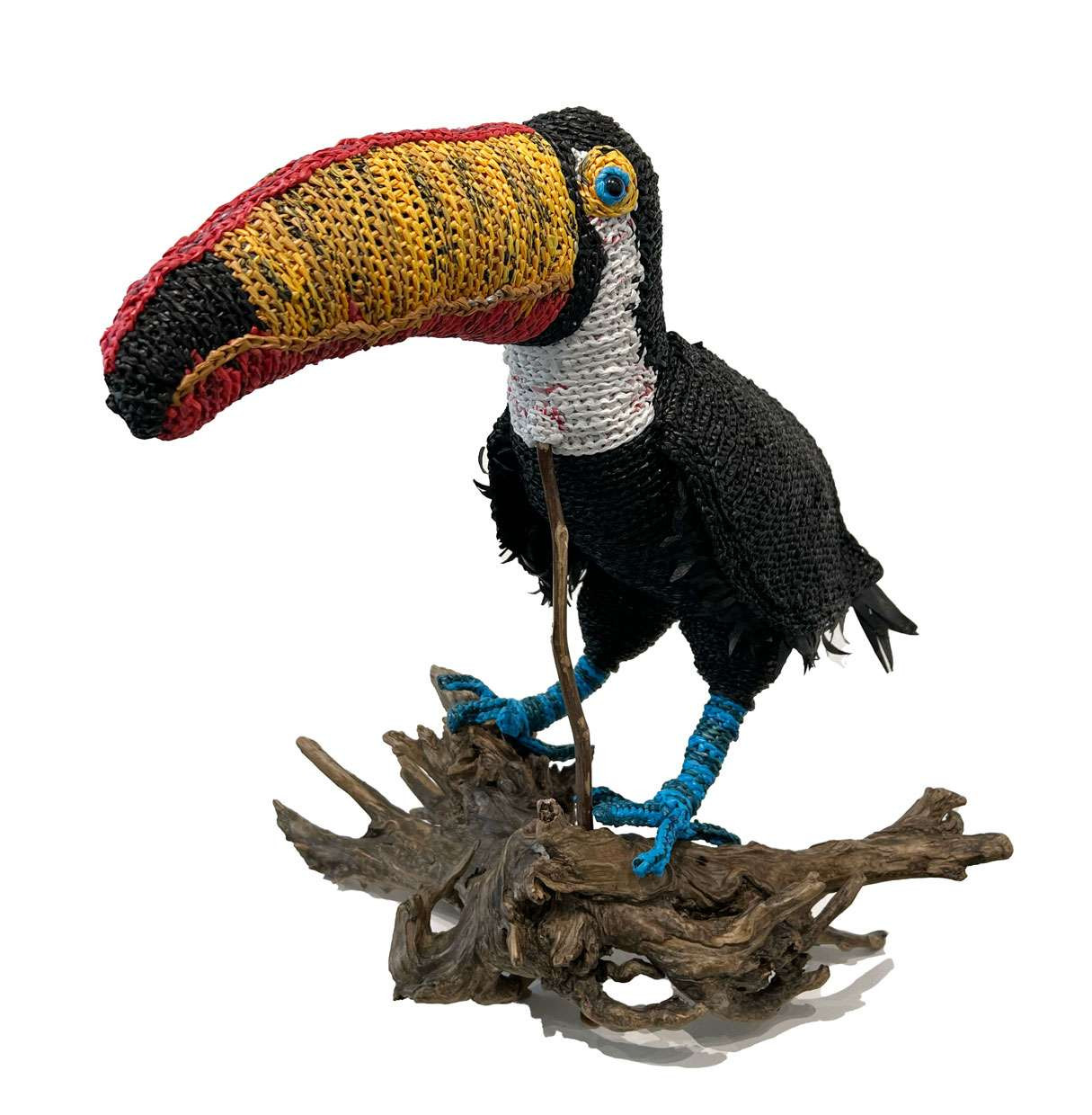 The Narfs: Toco Toucan - Nicole Betters