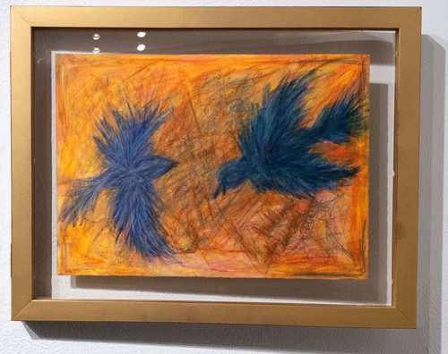 Daria Sandburg: Birdlings of Lessors Paradise Art & Artists BoxHeart Gallery