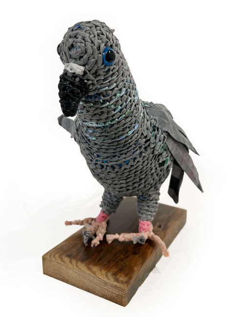 The Narfs: Rare Pigeon no. 1 Art & Artists BoxHeart Gallery