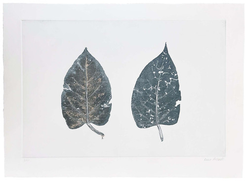 Karen Antonelli: Japanese Knotweed Pair no. 1 Art & Artists BoxHeart Gallery