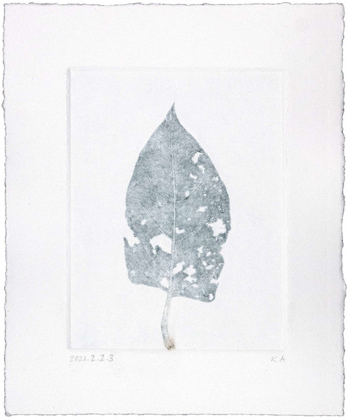 Karen Antonelli: Japanese Knotweed 2.2.3 Art & Artists BoxHeart Gallery
