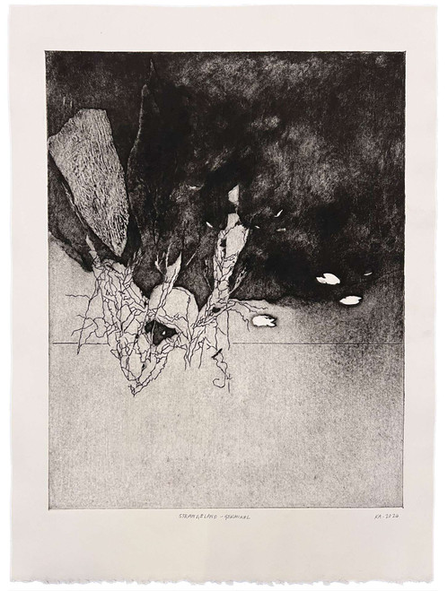 Karen Antonelli: Strangeland - Germinal Art & Artists BoxHeart Gallery