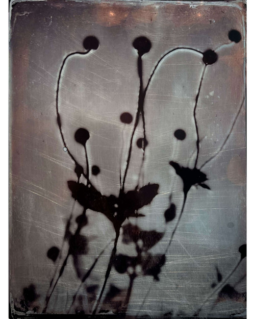 Carolyn Wenning: The Garden Knew no. 2 Art & Artists BoxHeart Gallery