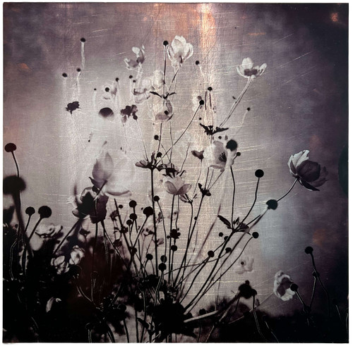 Carolyn Wenning: The Garden Knew no. 3 Art & Artists BoxHeart Gallery