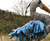 The Narfs: Great Blue Heron Art & Artists BoxHeart Gallery