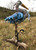 The Narfs: Great Blue Heron Art & Artists BoxHeart Gallery