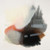 Kuzana Ogg: Neeru Art & Artists BoxHeart Gallery