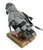 The Narfs: Rare Pigeon no. 3 Art & Artists BoxHeart Gallery