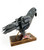 The Narfs: Rare Pigeon no. 1 Art & Artists BoxHeart Gallery