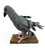 The Narfs: Rare Pigeon no. 1 Art & Artists BoxHeart Gallery