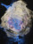 Stephanie Gonzalez: Nebula 14 Art & Artists BoxHeart Gallery