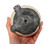 Alexis Dillon: Raku Animals Art & Artists BoxHeart Gallery