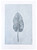Karen Antonelli: Burdock 14.3.1 Art & Artists BoxHeart Gallery