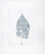 Karen Antonelli: Japanese Knotweed 2.2.3 Art & Artists BoxHeart Gallery