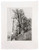 Karen Antonelli: Pathetic Fallacy DP 2 Art & Artists BoxHeart Gallery
