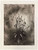 Karen Antonelli: Plantain II Art & Artists BoxHeart Gallery