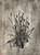 Karen Antonelli: Plantain I Art & Artists BoxHeart Gallery