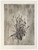 Karen Antonelli: Plantain I Art & Artists BoxHeart Gallery