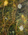 Sonja Sweterlitsch: Tangle of Wildflowers Art & Artists BoxHeart Gallery