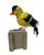 The Narfs: Goldfinch Art & Artists BoxHeart Gallery