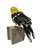 The Narfs: Goldfinch Art & Artists BoxHeart Gallery