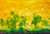 Gwen Settle: Summer Art & Artists BoxHeart Gallery