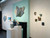 Nichole Gronvold Roller: Settled Art & Artists BoxHeart Gallery