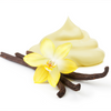 vanilla bean cream