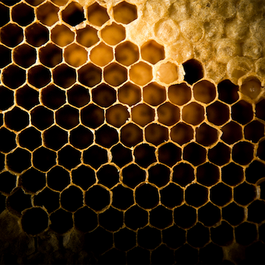 Black Honey Juice