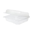 Hinged Containers 8''x8'' PET- 250 pcs