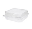 Hinged Containers 9''x 9'' PET- 200 pcs