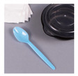 PS HW Tea Spoons, Blue - 1,000 pcs