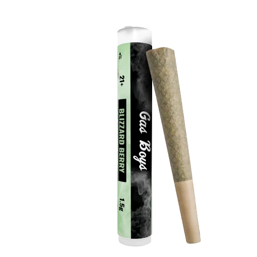 Gas Boys - THC-A Infused Preroll - 1.5g