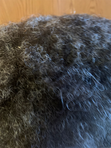 Upgrade your style with our Black Afro Topper featuring 40% Grey Human Hair. This top-quality topper measures 7-1/2” front to back and 5” side to side, with a 1” clear poly base and small scallops for a natural look. Don't miss our exclusive clearance sale – grab it now for just a fraction of the regular price Upgrade your style with our Black Afro Topper featuring 40% Grey Human Hair. This top-quality topper measures 7-1/2” front to back and 5” side to side, with a 1” clear poly base and small scallops for a natural look. Don't miss our exclusive clearance sale – grab it now for just a fraction of the regular price