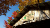 Fall 2026 Maple Tours